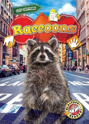 Raccoons - Betsy Rathburn