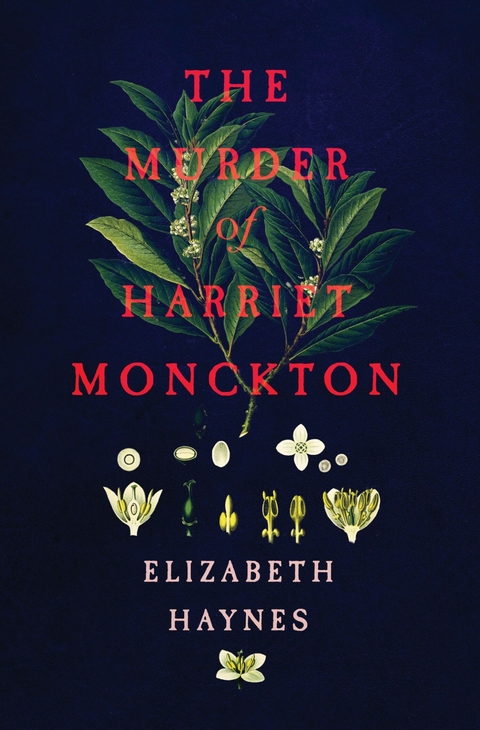 Murder of Harriet Monckton -  Elizabeth Haynes
