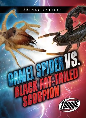 Camel Spider vs. Black Fat-Tailed Scorpion - Nathan Sommer
