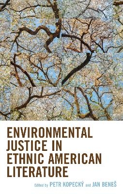 Environmental Justice in Ethnic American Literature - 