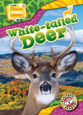 White-Tailed Deer - Janie Scheffer