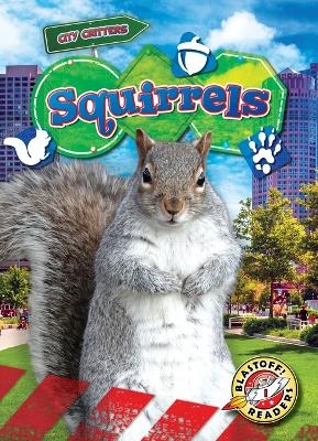 Squirrels