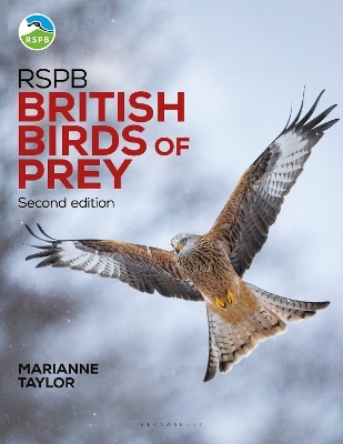RSPB British Birds of Prey - Marianne Taylor