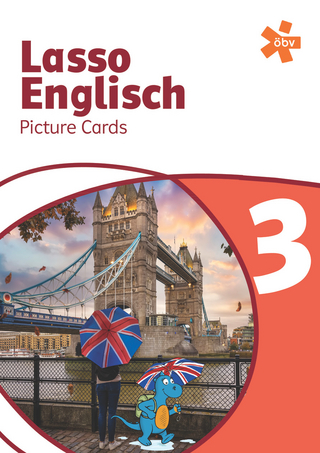 Lasso Englisch 3, Picture Cards