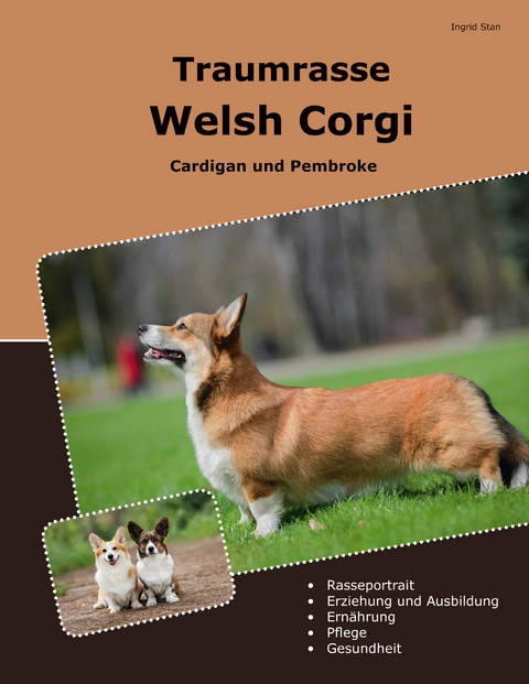 Traumrasse Welsh Corgi - Ingrid Stan