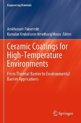 Ceramic Coatings for High-Temperature Environments - 