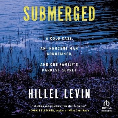 Submerged - Hillel Levin