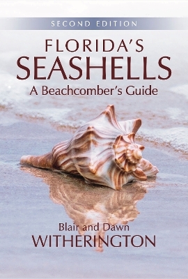 Florida's Seashells - Blair Witherington