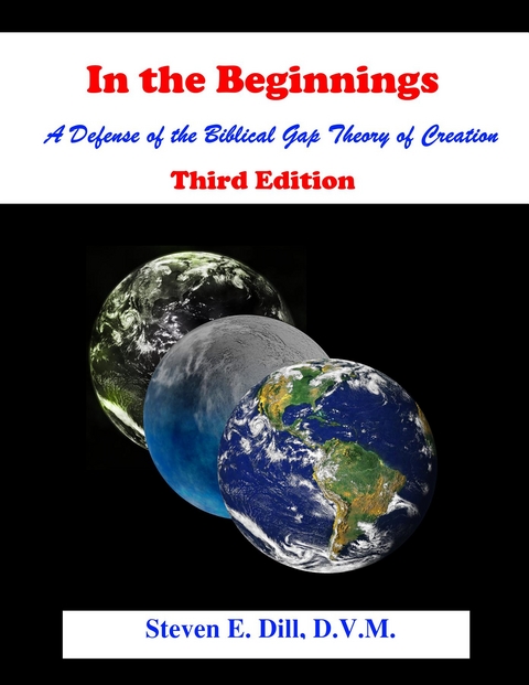 In the Beginnings - Steven E Dill