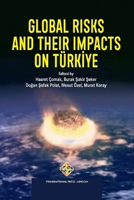 Global Risks and Their Impacts on T&uuml;rkiye - Mesut &Ouml;zel