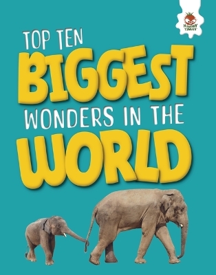 Top Ten Biggest Wonders in the World