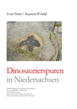 Dinosaurierspuren in Niedersachsen