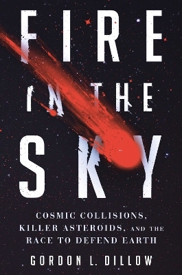 Fire in the Sky - Gordon L. Dillow