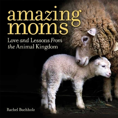 Amazing Moms - Rachel Buchholz