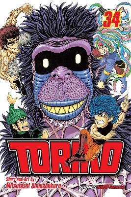 Toriko, Vol. 34 - Mitsutoshi Shimabukuro