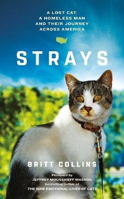 Strays - Britt Collins
