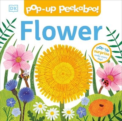 Pop-Up Peekaboo! Flower -  Dk