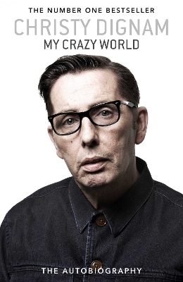 My Crazy World - Christy Dignam