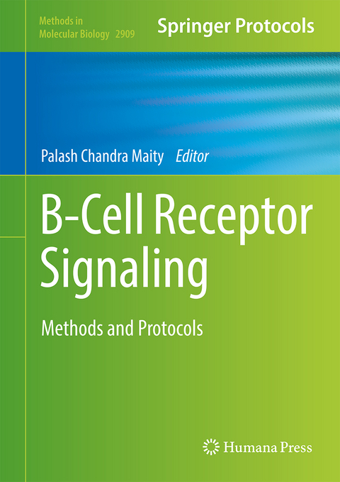 B-Cell Receptor Signaling - 