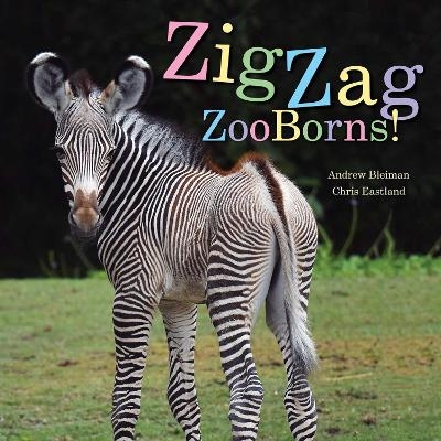 ZigZag ZooBorns! - Andrew Bleiman, Chris Eastland