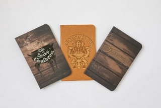 Harry Potter: Diagon Alley Pocket Journal Collection
