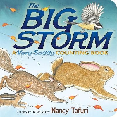 The Big Storm - Nancy Tafuri