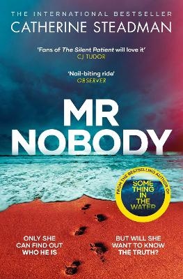 Mr Nobody - Catherine Steadman