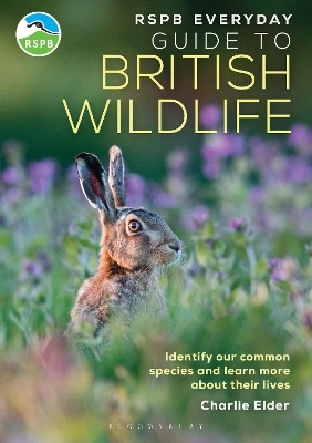RSPB Everyday Guide to British Wildlife - Charlie Elder