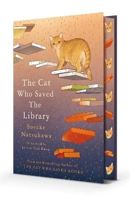 The Cat Who Saved the Library - Sosuke Natsukawa