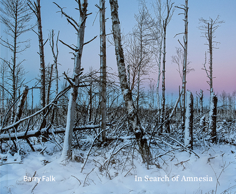 In Search of Amnesia - Barry Falk