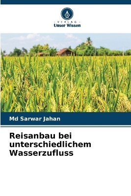 Reisanbau bei unterschiedlichem Wasserzufluss