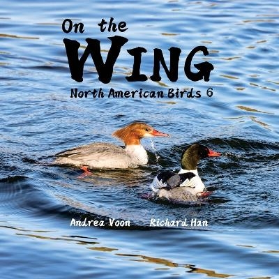 On the Wing - North American Birds 6 - Andrea Voon