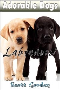 Adorable Dogs: Labradors