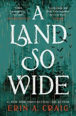 A Land So Wide - Erin A. Craig