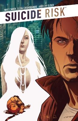 Suicide Risk Vol. 6 - Mike Carey