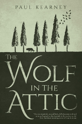 The Wolf in the Attic - Paul Kearney