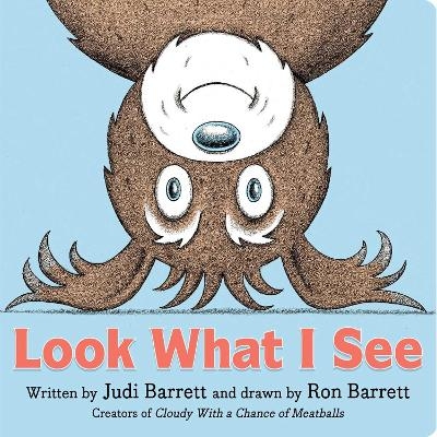 Look What I See - Judi Barrett