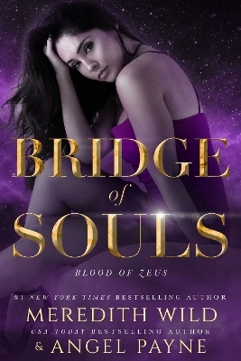 Bridge of Souls - Meredith Wild, Angel Payne