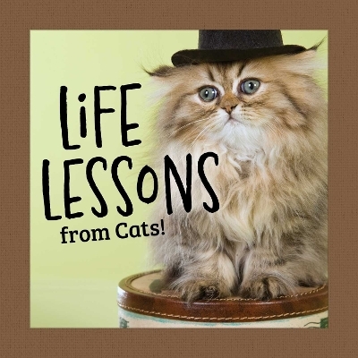 Life Lessons from Cats - Grace Peterson