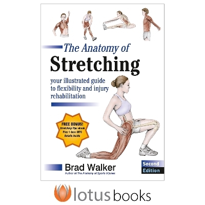The Anatomy of Stretching - Brad Walker