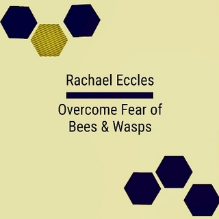 Overcome Fear of Bees and Wasps Hypnosis CD for Phobia Treatment (Melissophobia & Spheksophobia) Hypnotherapy CD