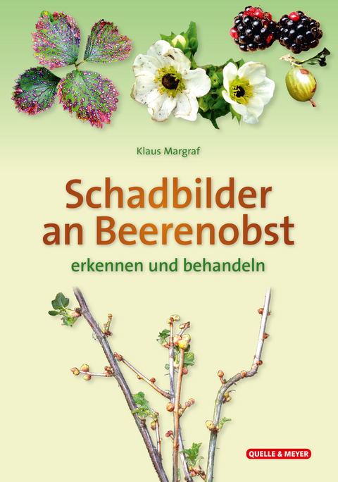 Schadbilder an Beerenobst - Klaus Margraf