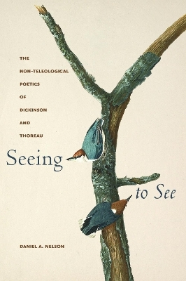 Seeing to See - Daniel A. Nelson