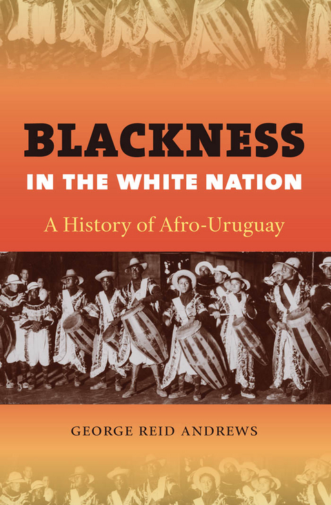 Blackness in the White Nation - George Reid Andrews