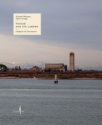 Venice and Its Lagoon: Caring for the Environment - Montanaro Giovanni