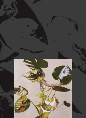 Kandis Williams: A Surface - 