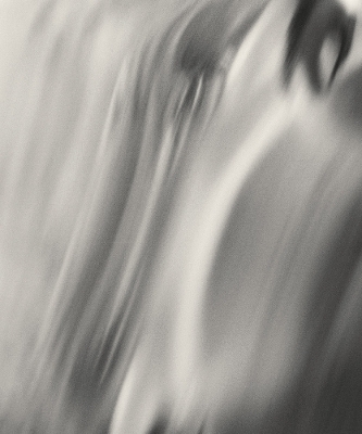 Henry O. Head: Twelve Acres - 