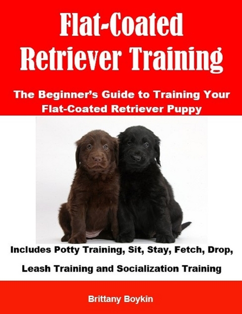 Flat-Coated Retriever Training: The Beginner's Guide to Training Your Flat-Coated Retriever Puppy -  Brittany Boykin