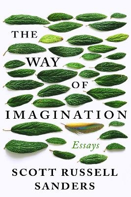 The Way of Imagination - Scott Russell Sanders