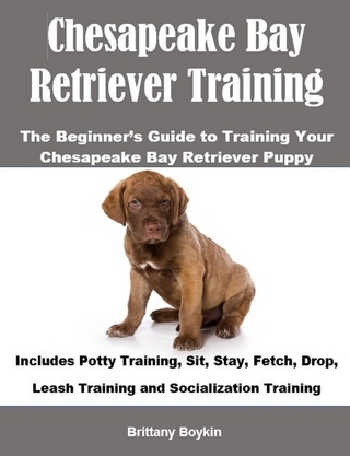 Chesapeake Bay Retriever Exercitium A inceptor est scriptor Rector ut Chesapeake tuum Bay Dog Training